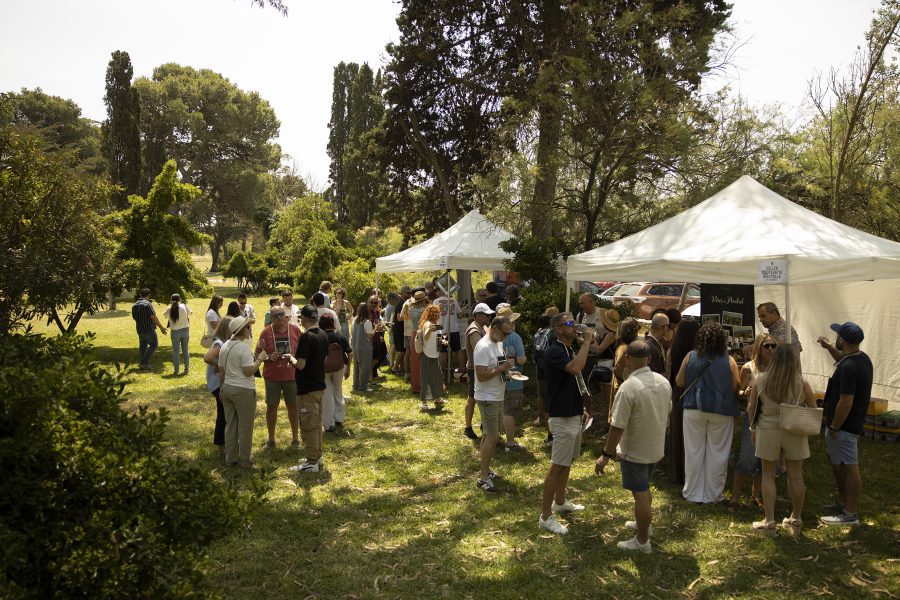 Per degustar, en tast obert i en copa Riedel, més de 100 referències dels propietaris i enòlegs dels grans cellers de la DO Empordà.